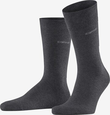 ESPRIT Socken 'Solid 4-Pack' in Grau: Vorderseite