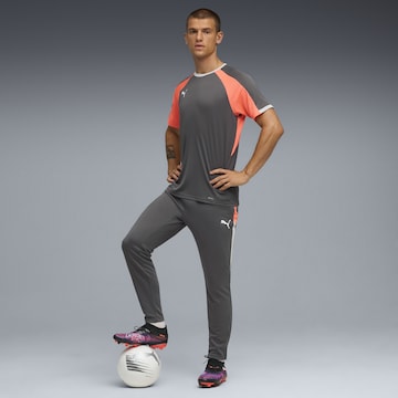 PUMA Slimfit Sportbroek 'Individual LIGA' in Grijs