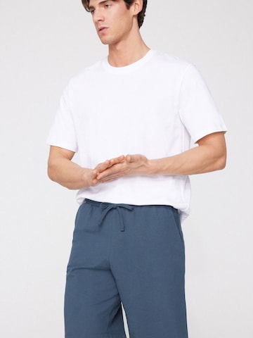 Tezenis Regular Shorts in Blau