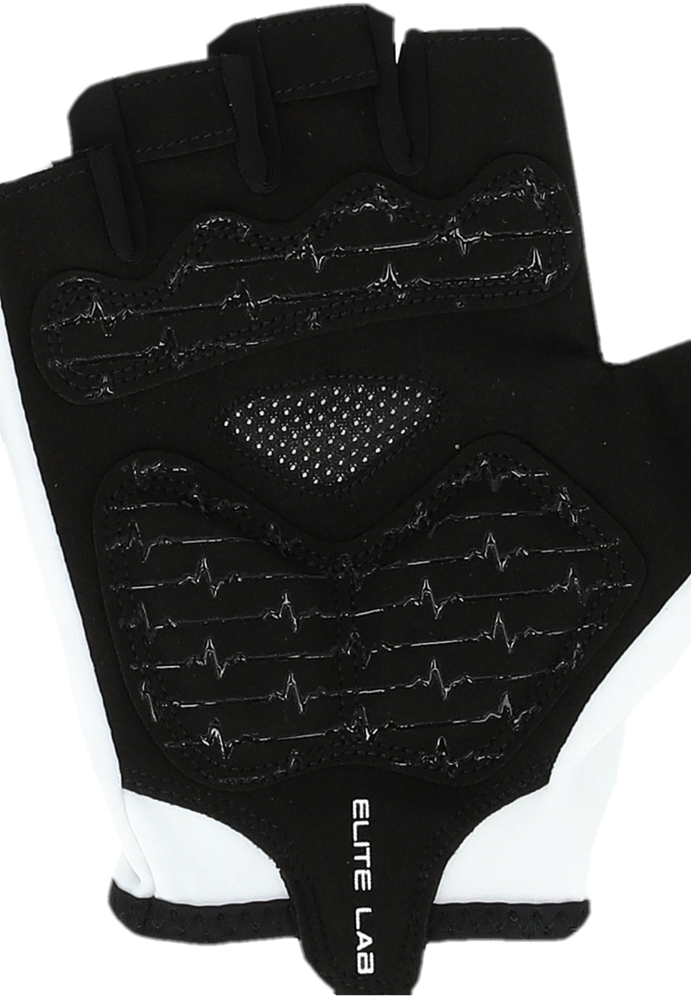 ELITE LAB Sporthandschoenen 'Bike Elite Core' in Zwart