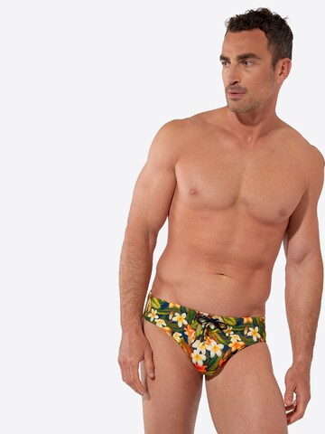 HOM Badehose ' Swim Mini Briefs Etna ' in Grün: Vorderseite