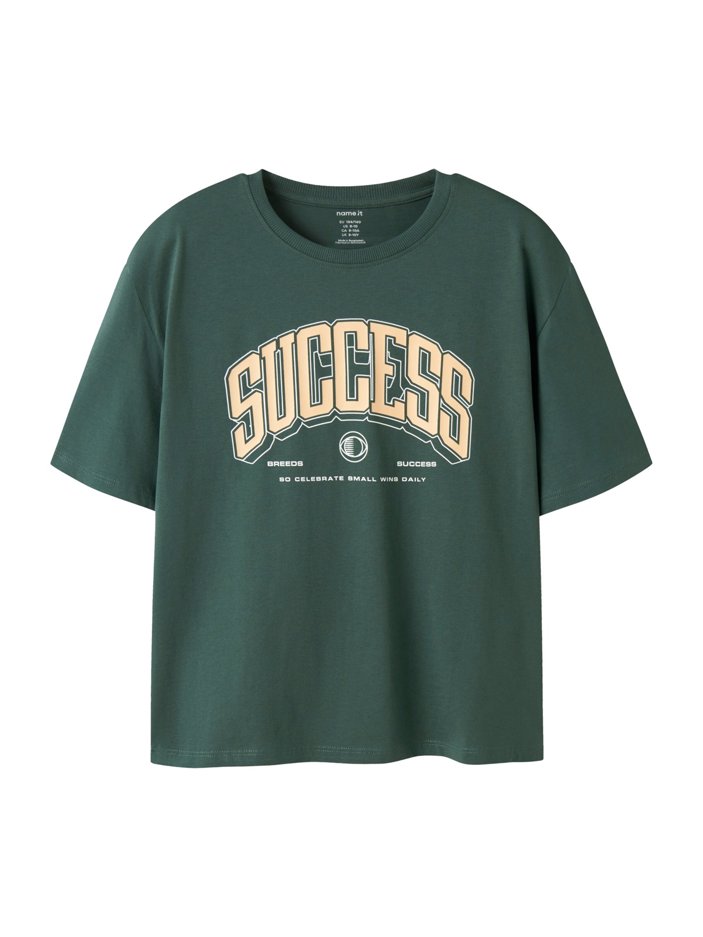 NAME IT Shirt 'NKMVALIX' in Green: front