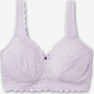 SHEEGO Bra in Purple: front