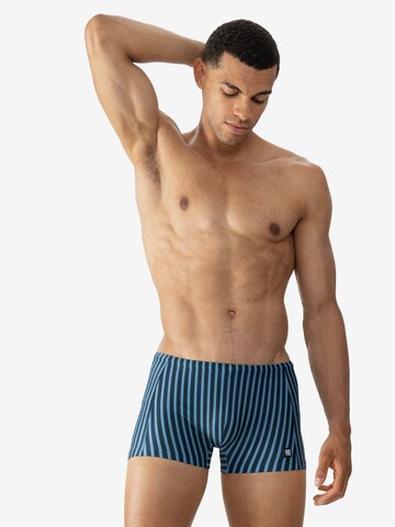 Shorts de bain Mey en bleu : devant