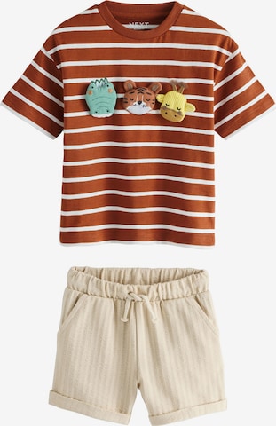 Next Set in Beige: Vorderseite