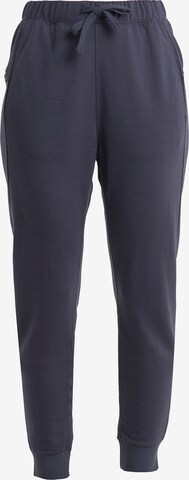 Pantalon 'Crush II' ICEBREAKER en gris : devant