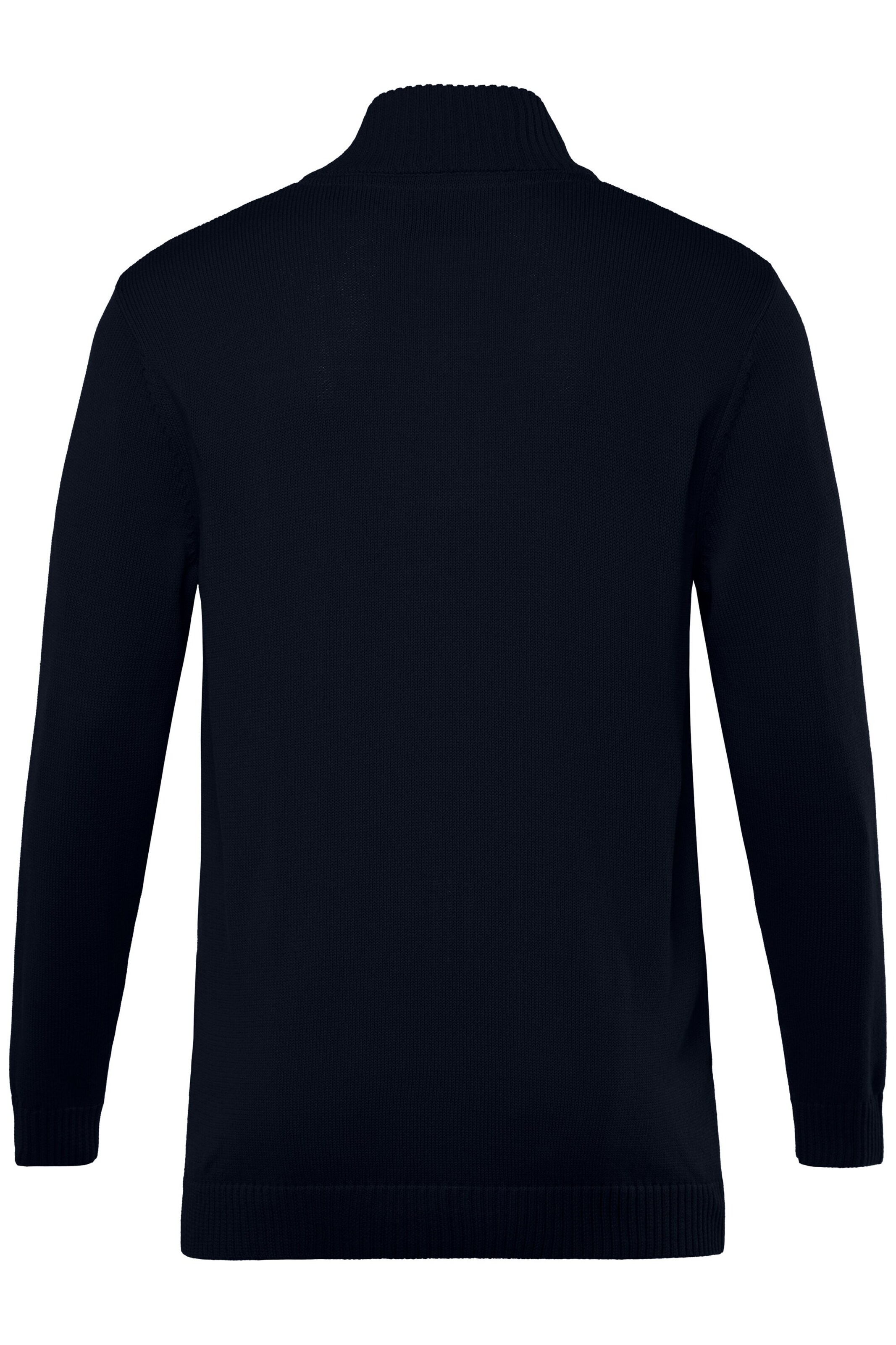 Men Plus Sweater in Blue