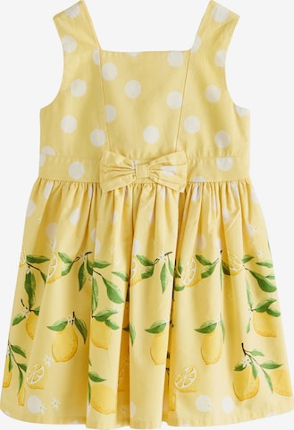 Next Kleid in Gelb: Vorderseite