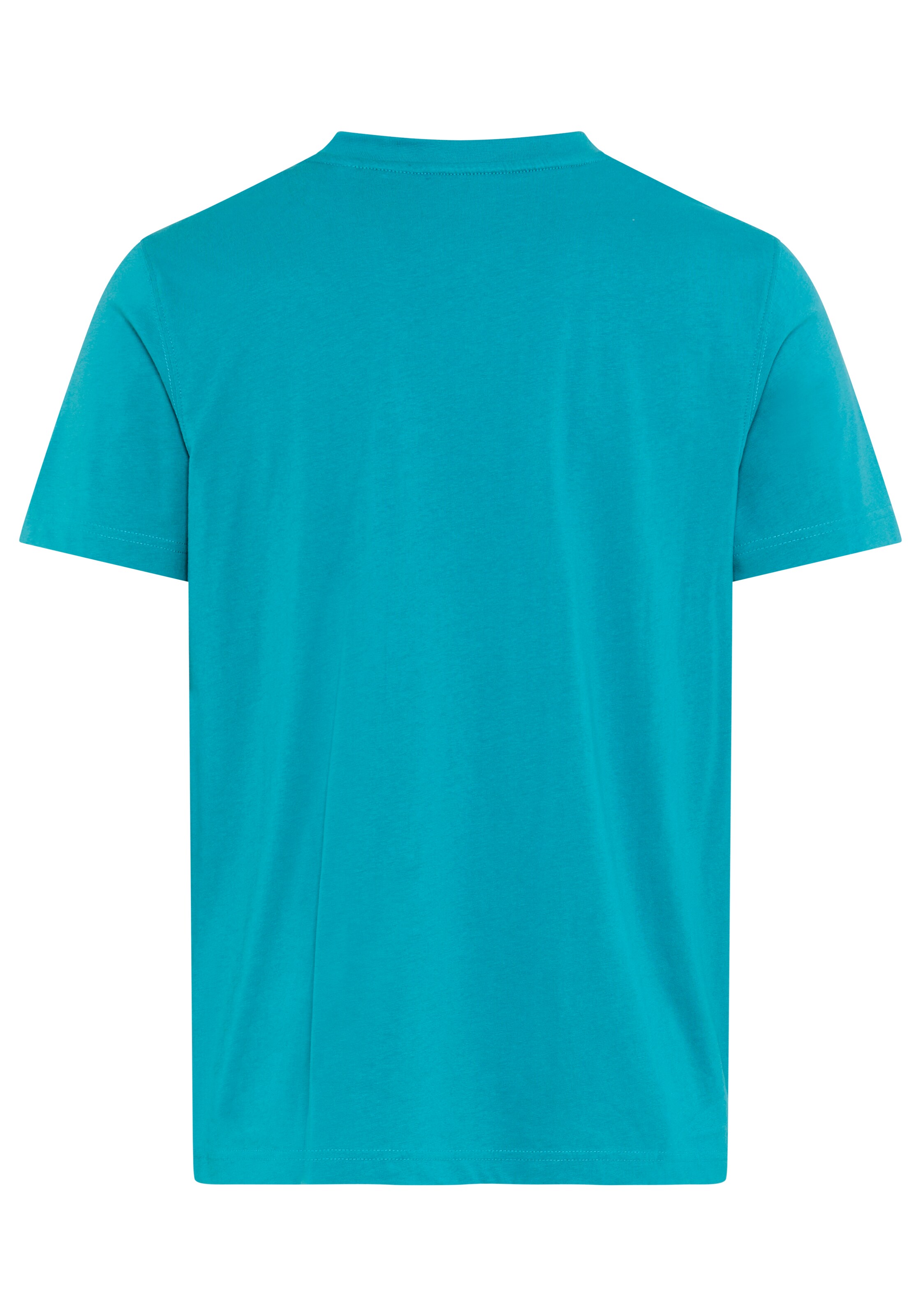 DELMAO T-Shirt in Grün
