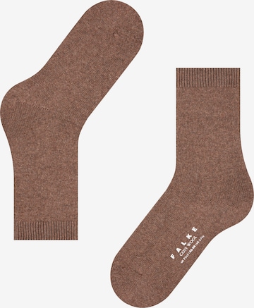 Chaussettes FALKE en marron