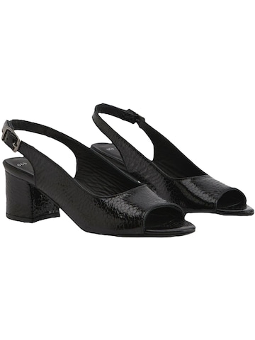 Limoya - Sandalias 'Catia' en negro