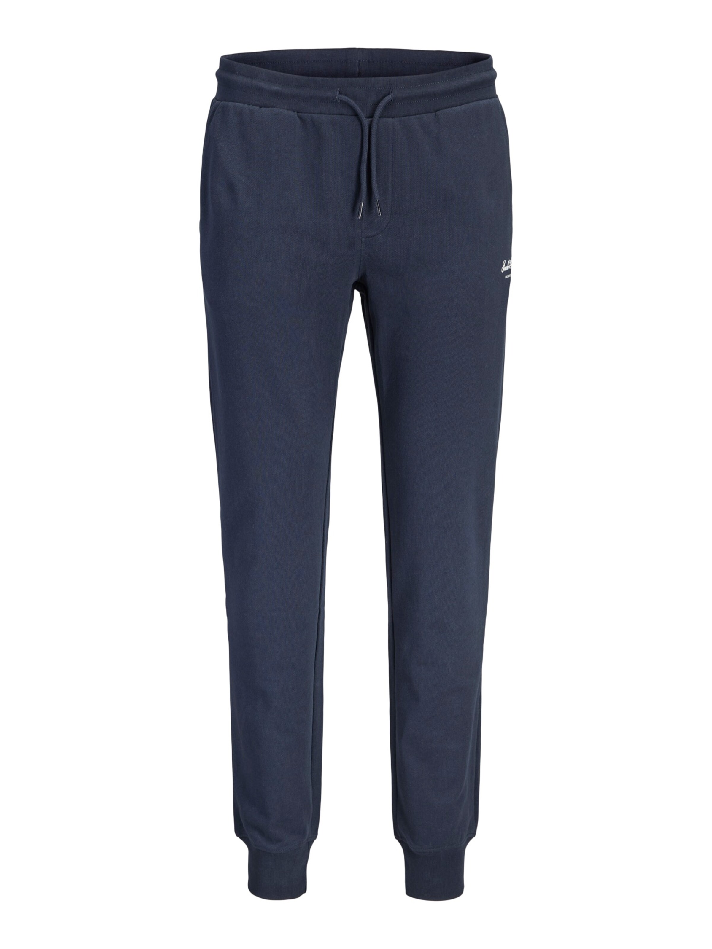 Jack & Jones Plus - Pantalón 'JPSTGORDON' en azul: frente