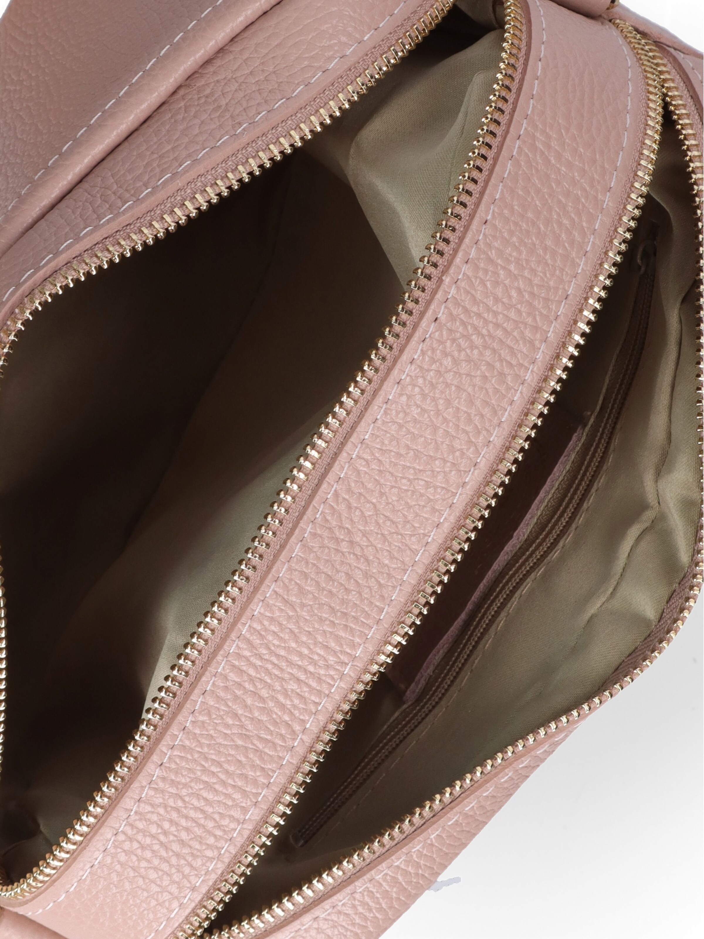 Gave Lux Crossbody Bag in Pink