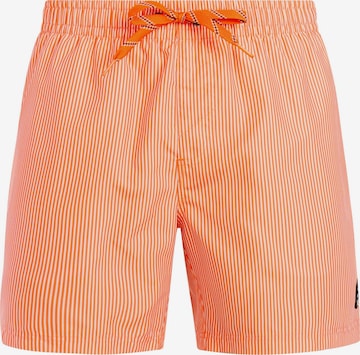 Shorts de bain 'PRTMarama' PROTEST en violet : devant
