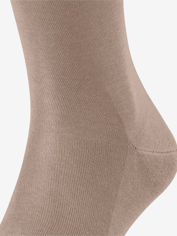 FALKE Knee High Socks 'Tiago' in Beige: front