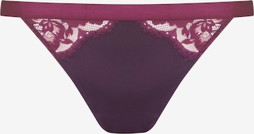Slip Mey en violet : devant