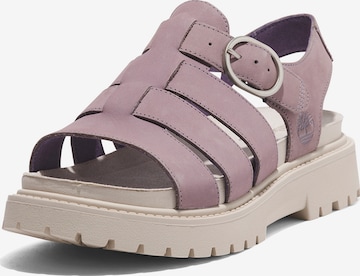 TIMBERLAND Sandals in Purple: front