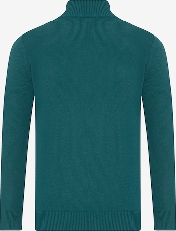 DENIM CULTURE Sweater 'Maddox' in Green