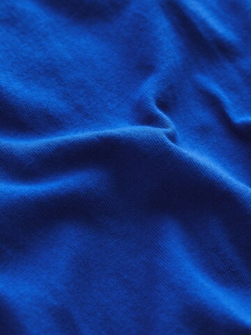 Next Kleid in Blau