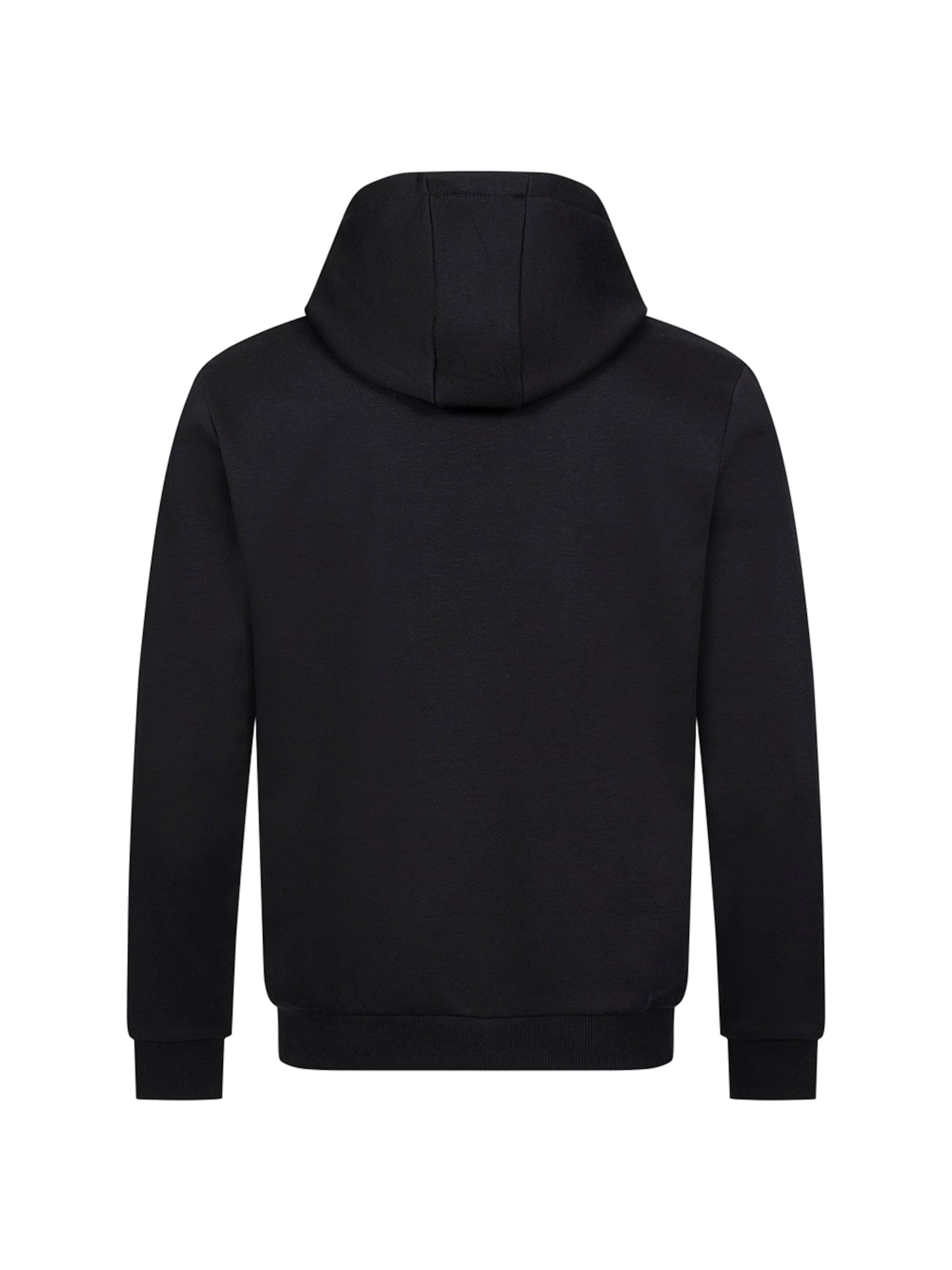 PIERRE CARDIN Hoodie in Schwarz