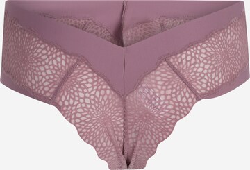 TRIUMPH Panty in Purple