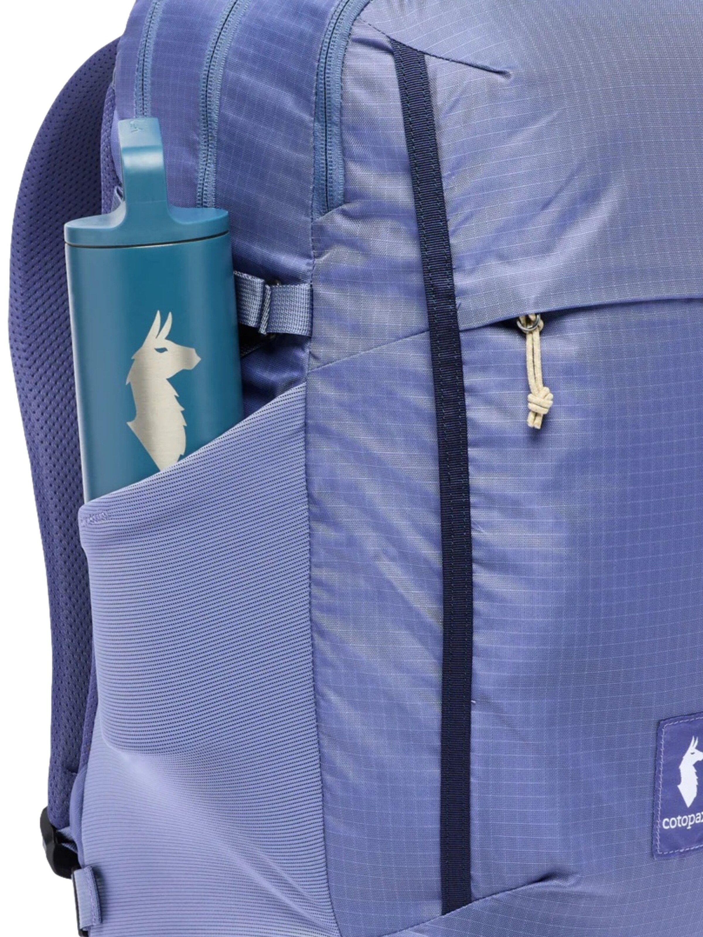 cotopaxi Backpack 'Mente' in Blue