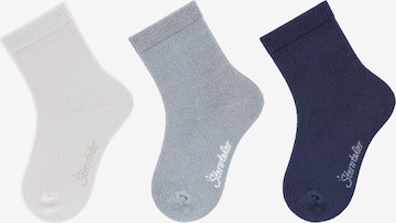 STERNTALER Socks in Blue: front