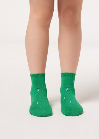 CALZEDONIA Socks in Green: front