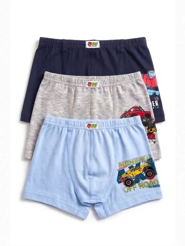 ÖTS Alsónadrág 'ÖTS Herren Boxerbriefs' - vegyes színek: elől