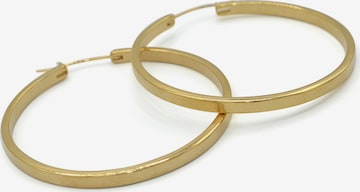 Corazul Earrings in Gold