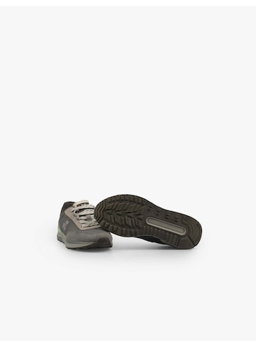 Sneaker ' HARRY ' di Scalpers in grigio