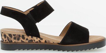 GABOR Strap Sandals in Black