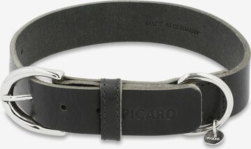 Picard Hundehalsband 'Collar' in Schwarz: predná strana