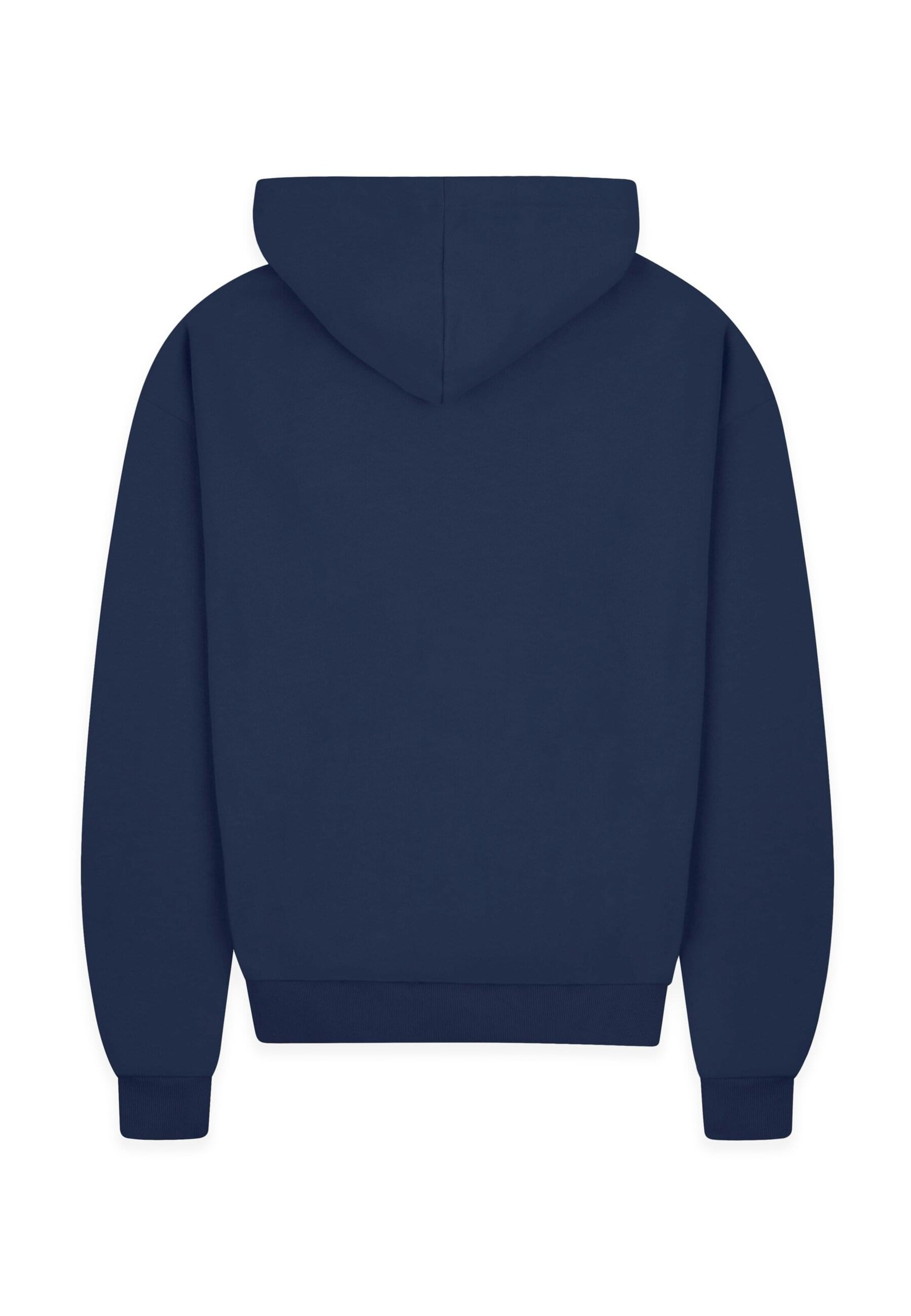 Dropsize Sweatshirt in Blau