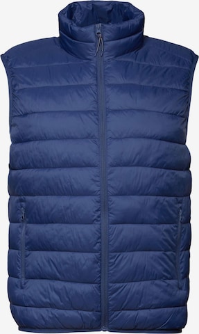 ESPRIT Bodywarmer in Blauw: voorkant