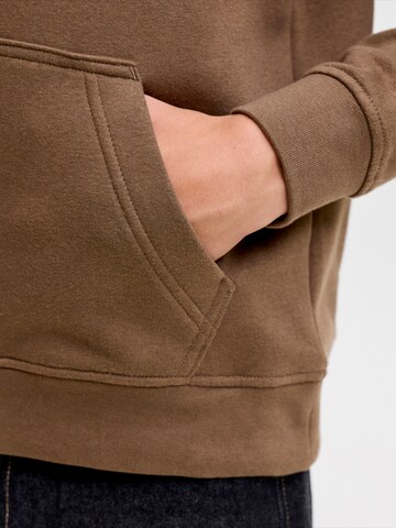 brūns Jack & Jones Junior Sportisks džemperis 'JJESoho'