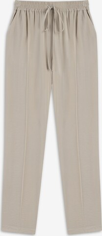 Regular Pantalon à plis 'Carrot' Twist en gris : devant