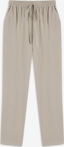 Twist Regular Pleated Pants 'Carrot' in Grey: front