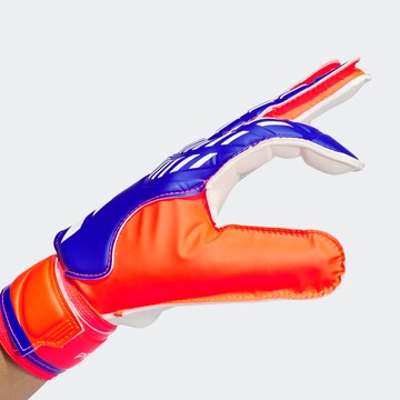 ADIDAS PERFORMANCE Sporthandschuhe 'Predator' in Orange