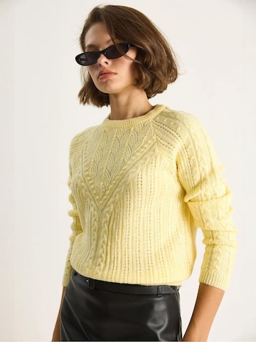 Bianco Lucci Pulover 'Pullover' | rumena barva