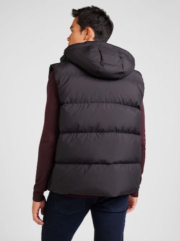 Tommy Jeans Bodywarmer 'Essential' in Zwart