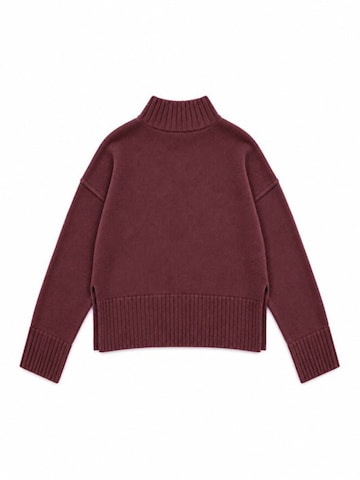 Viorna Sweatshirt 'Sweatshirts' in Purple