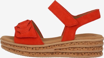 GABOR Sandals in Orange: front