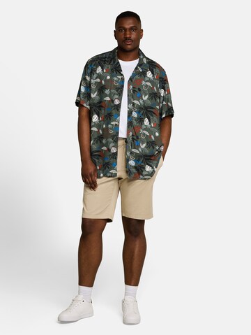 TOM TAILOR Men + Regular Fit Hemd in Grün
