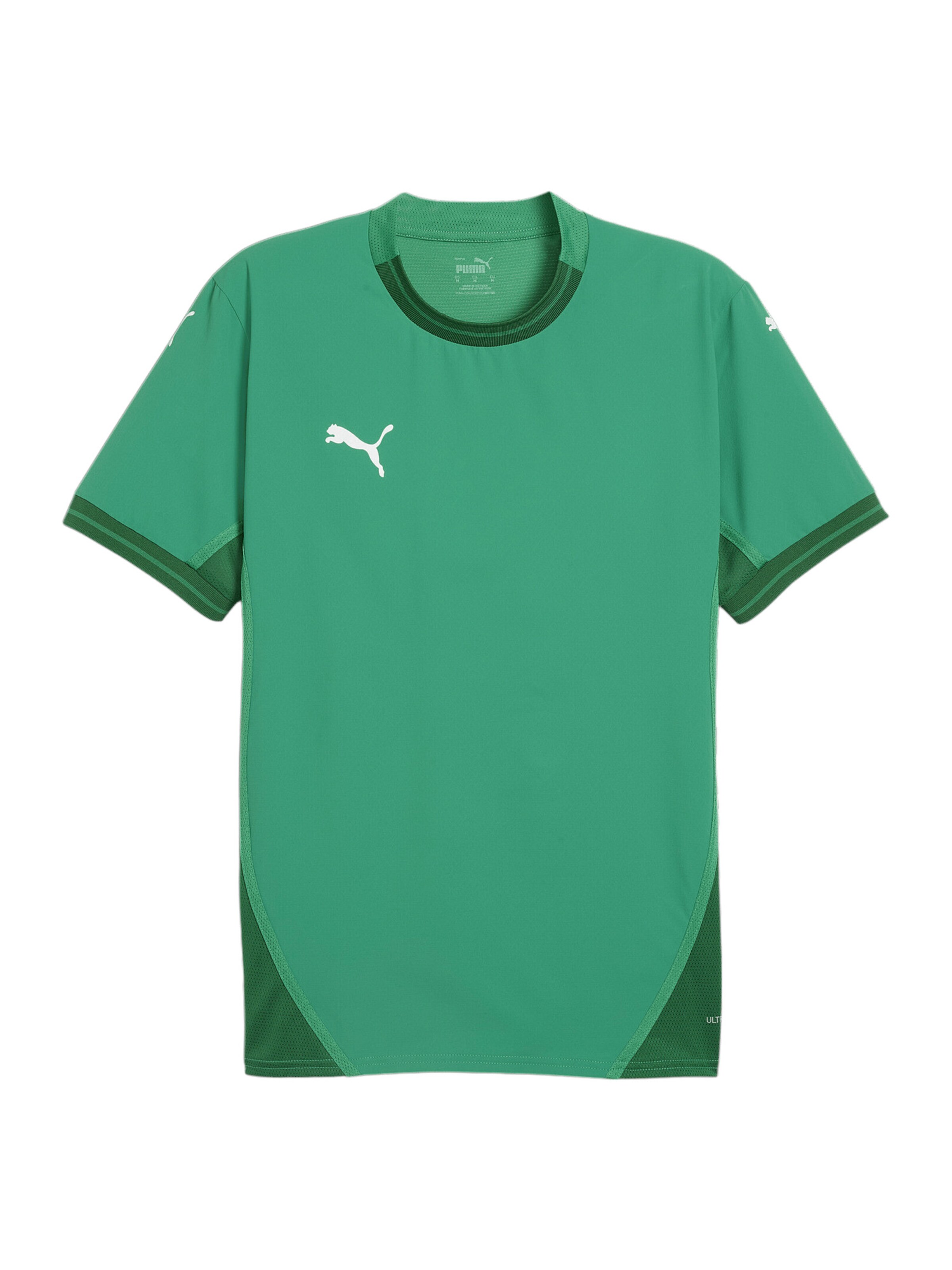 PUMA Funktionsshirt 'TeamFinal' in Grün: Vorderseite