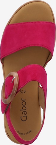 GABOR Strap Sandals in Pink