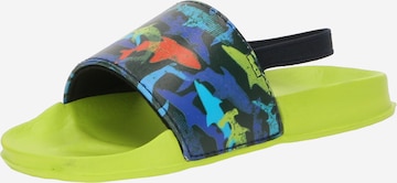 BECK - Zapatos abiertos 'Sealife' en verde: frente