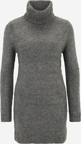 JDY Petite Knitted dress 'DINEA' in Grey: front