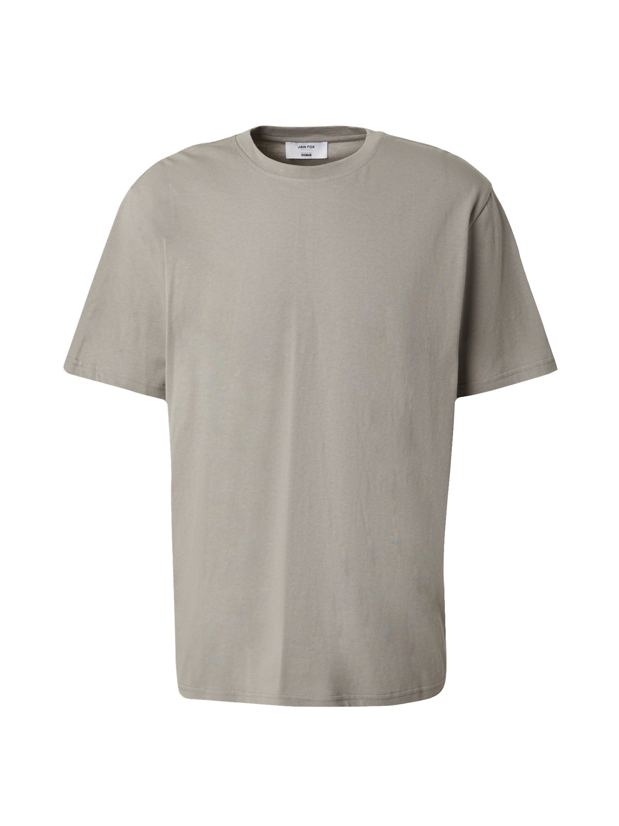Maglietta 'Cem' di DAN FOX APPAREL in grigio: frontale