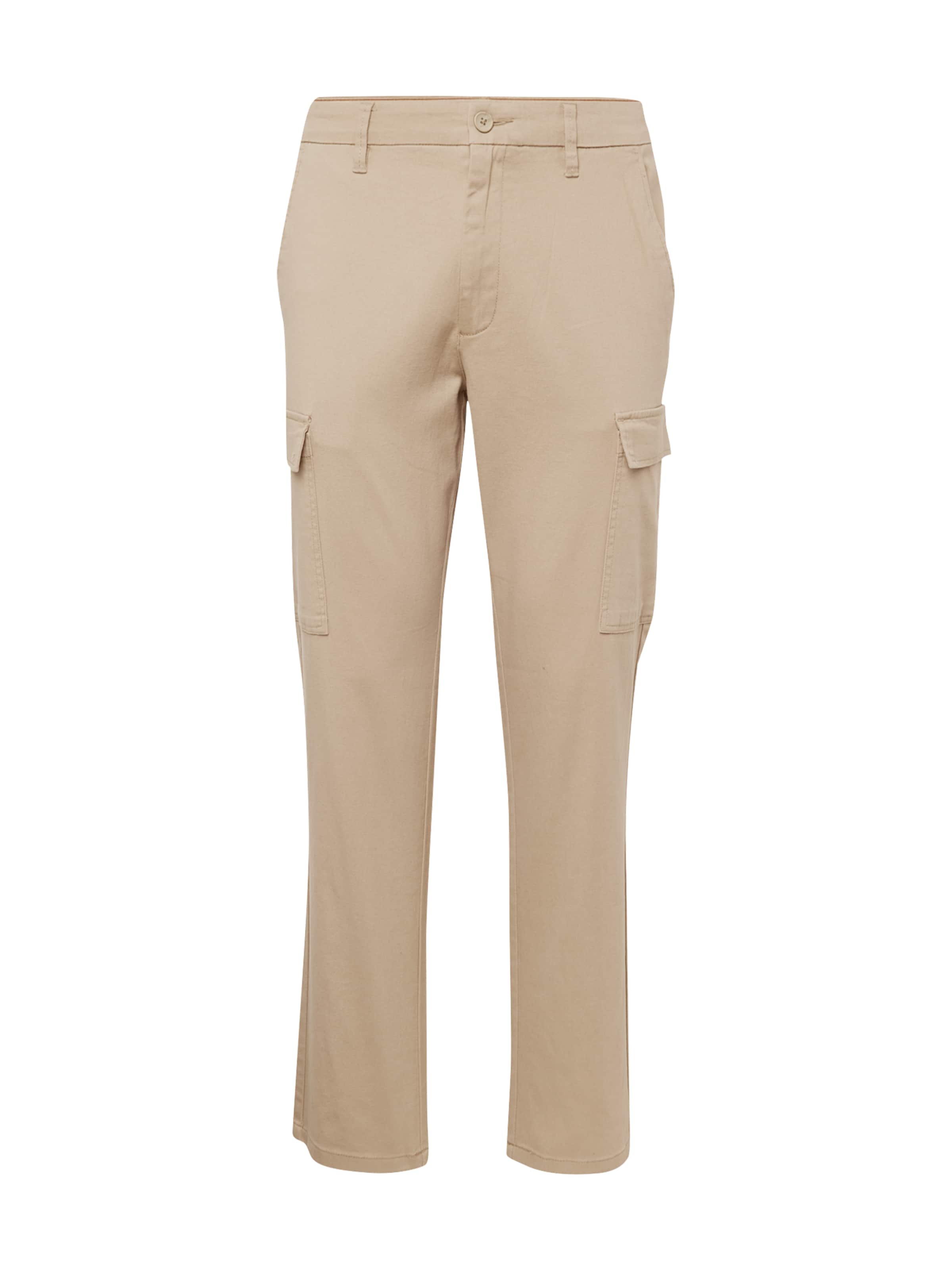 Only & Sons Cargo Pants 'ONSNICKY' in Beige: front